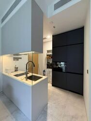 Cairnhill 16 (D9), Apartment #533776711